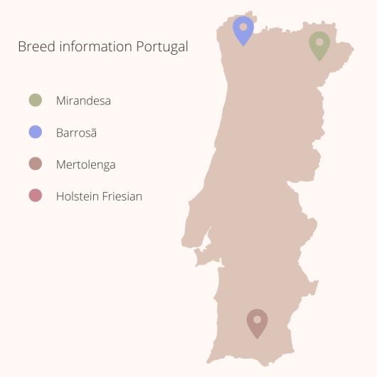 Breed information Portugal